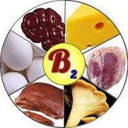 วิตามิน B2 B2 สำหรับสมอง